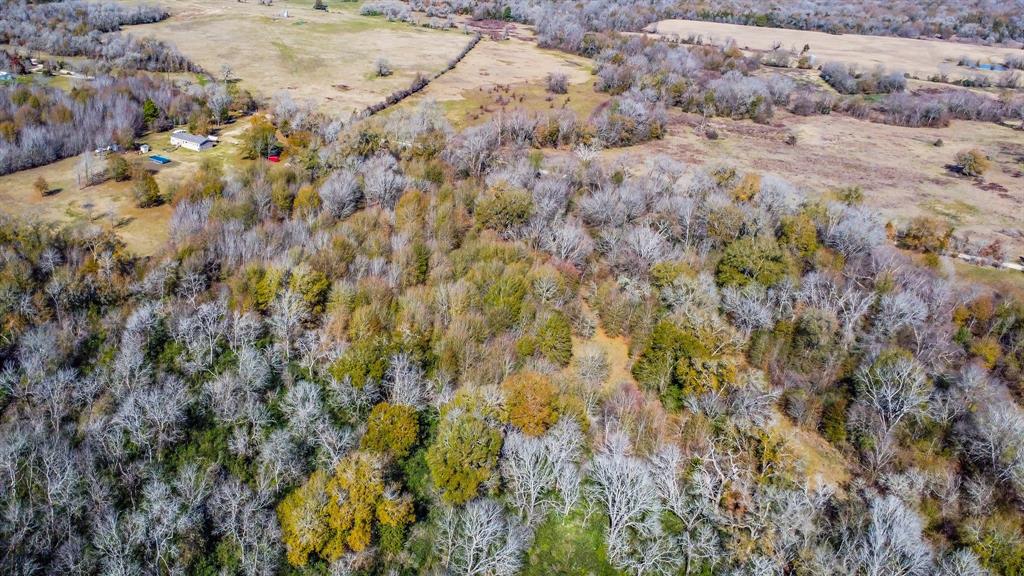 TBD Bundic Road , North Zulch, Texas image 7