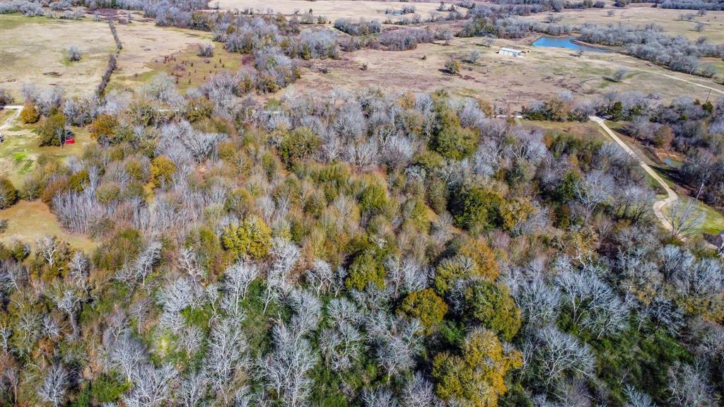 TBD Bundic Road , North Zulch, Texas image 8