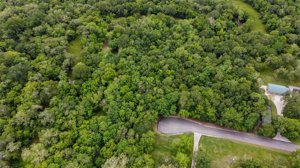 Areal view of the lot.