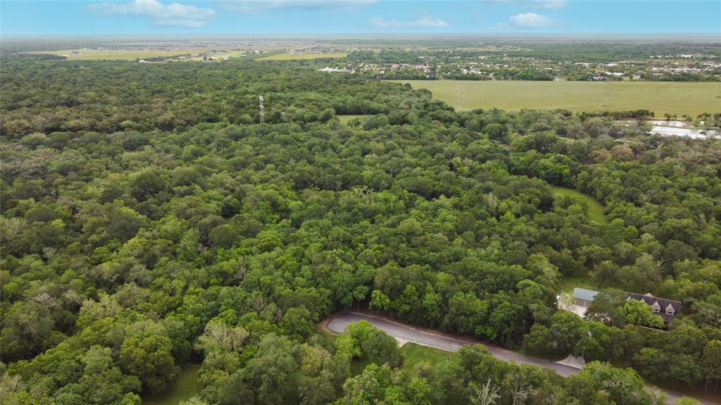 Beautiful trees surround the property.