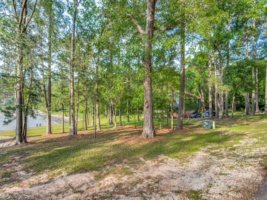 TBD Lakeshore Drive , Coldspring, Texas image 11