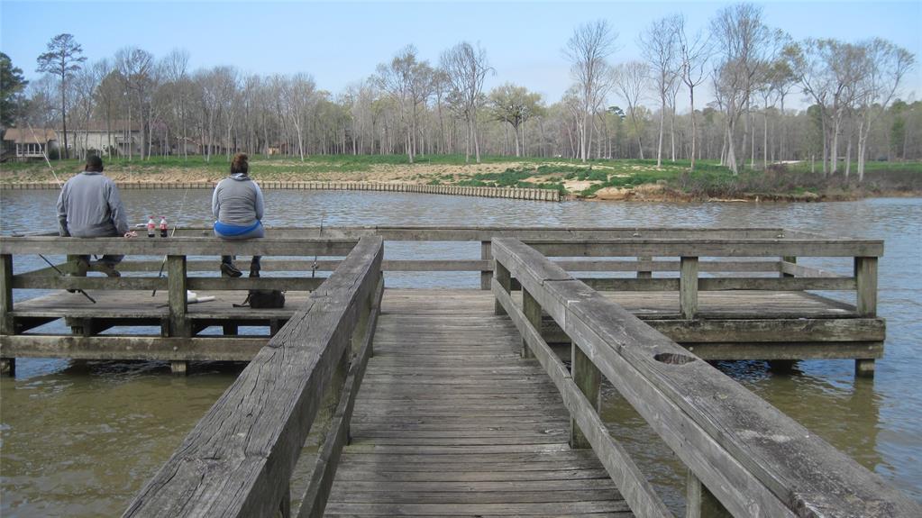 Park Pier for Fishing!