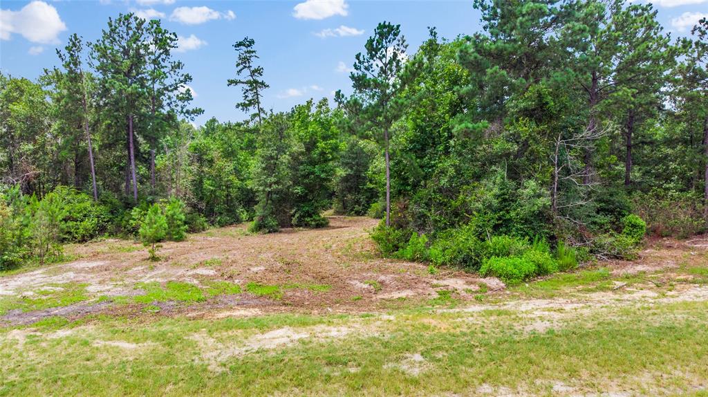 11682 Grand North Road , Willis, Texas image 9