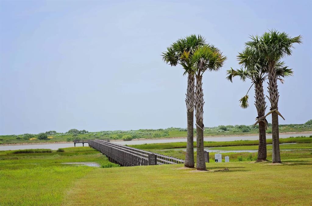 Lot 267 W Burgundy Bay  , Port O Connor, Texas image 11