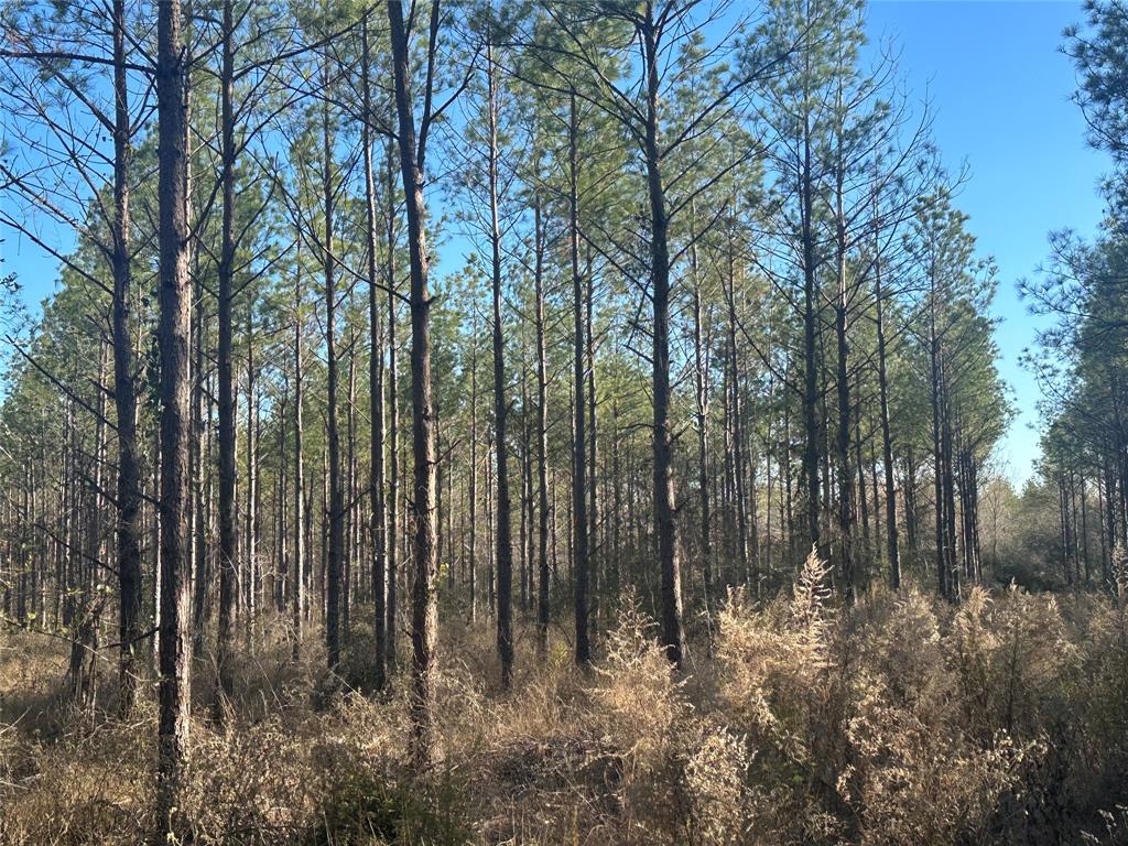 TBD Fm 358/Holcombe Rd