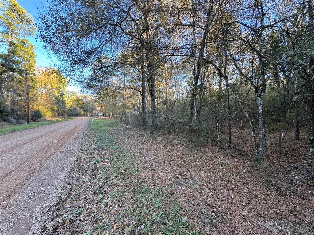 532 County Road 2175  , Shepherd, Texas image 4