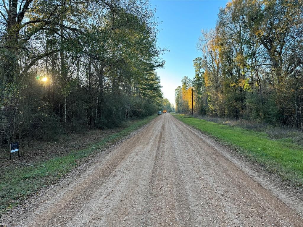 View of County Road 2175