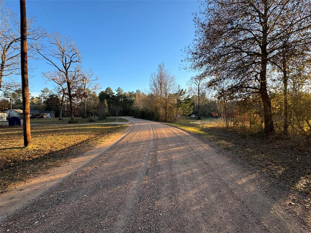 View of the road leading to County Road 2175