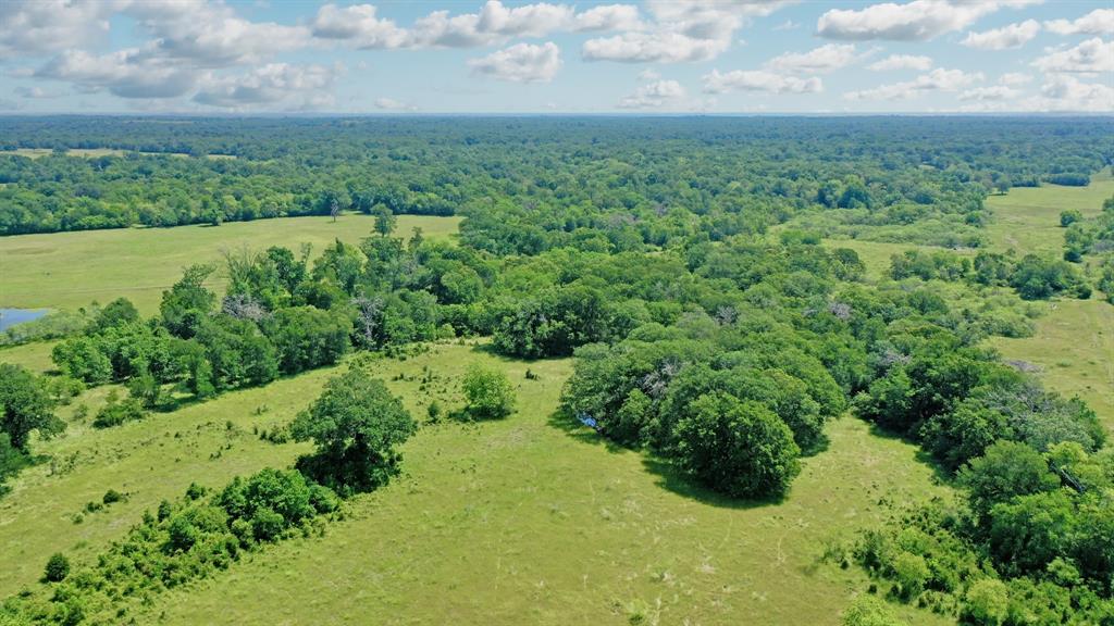 TBD Fm 2158  , Madisonville, Texas image 16