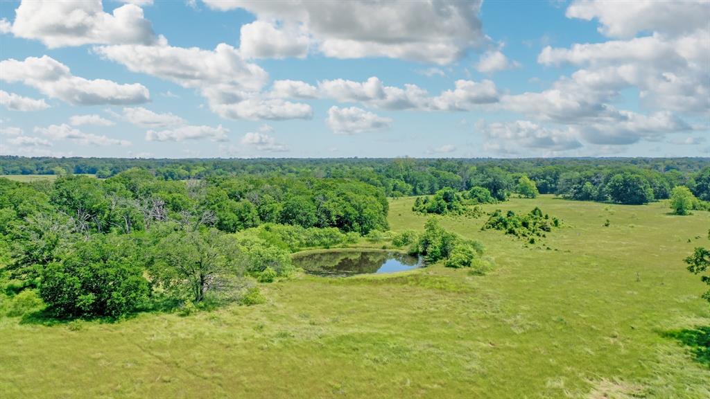 TBD Fm 2158  , Madisonville, Texas image 8