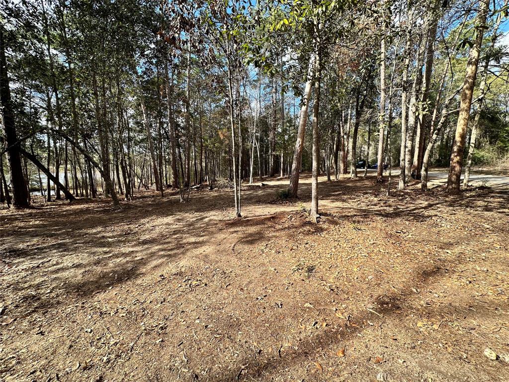 TBD Sherwood Forest Drive , Woodville, Texas image 12