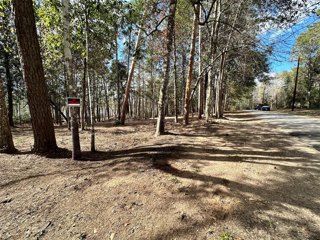 TBD Sherwood Forest Drive , Woodville, Texas image 14