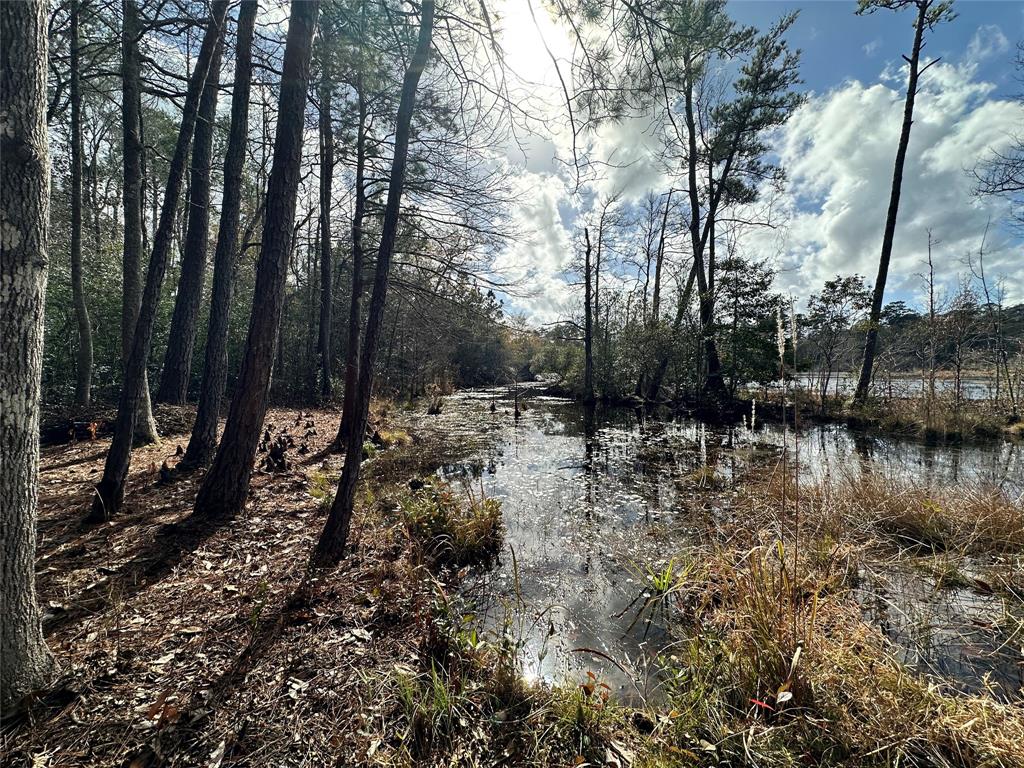 TBD Sherwood Forest Drive , Woodville, Texas image 19