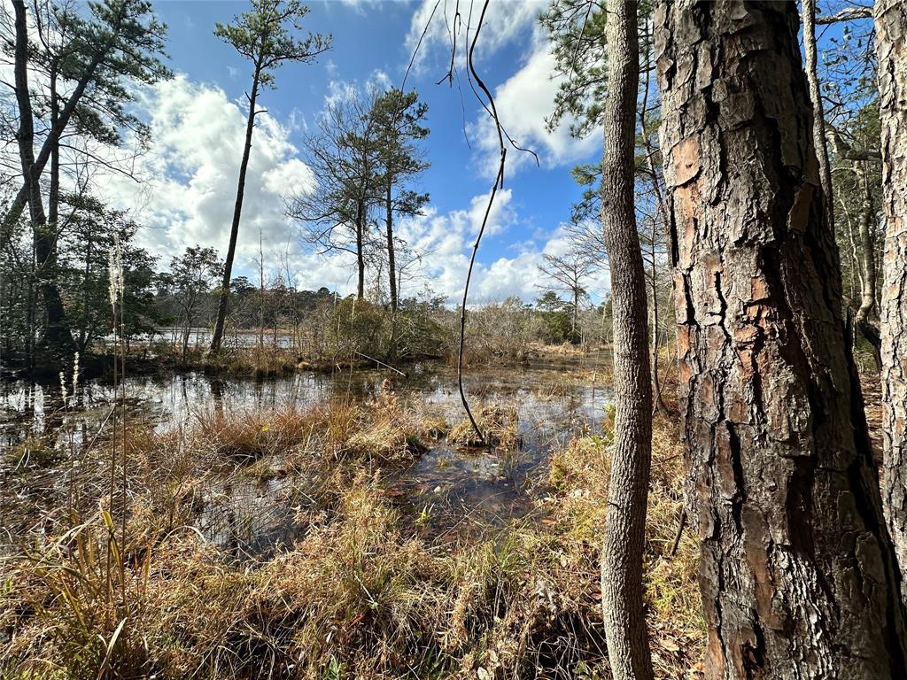 TBD Sherwood Forest Drive , Woodville, Texas image 5