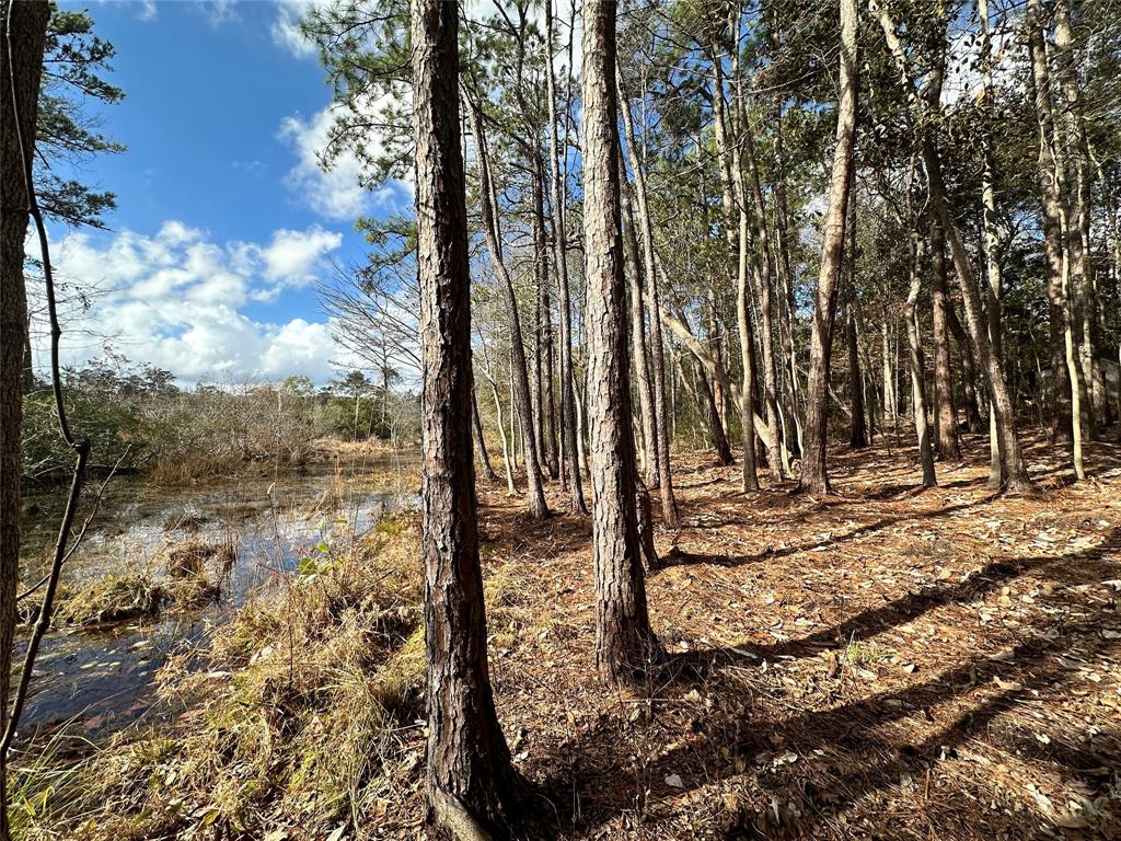 TBD Sherwood Forest Drive , Woodville, Texas image 9