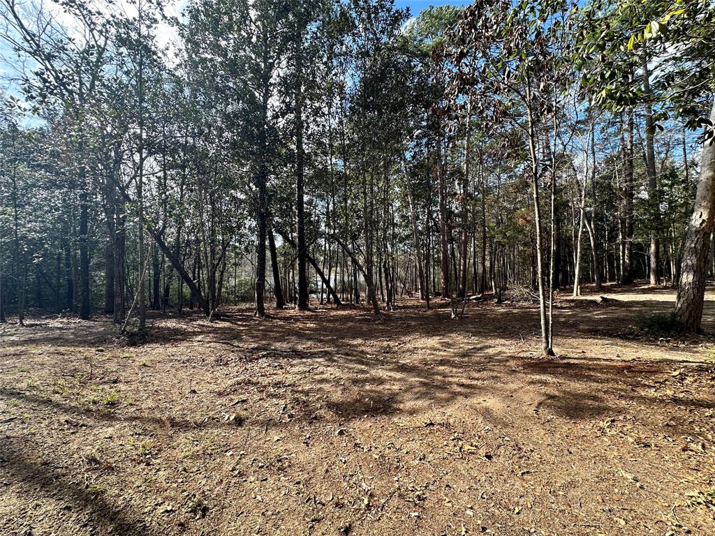 TBD Sherwood Forest Drive , Woodville, Texas image 10