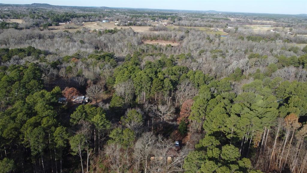 Quiet Oak  , Gilmer, Texas image 12