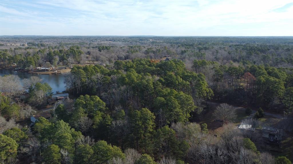 Quiet Oak  , Gilmer, Texas image 15