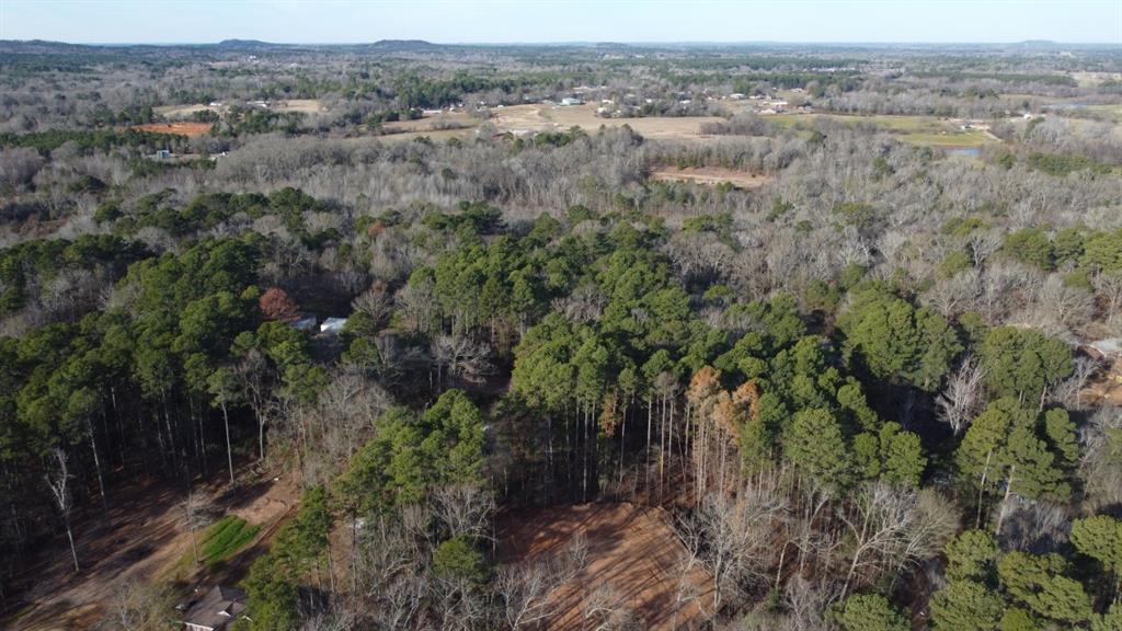 Quiet Oak  , Gilmer, Texas image 18