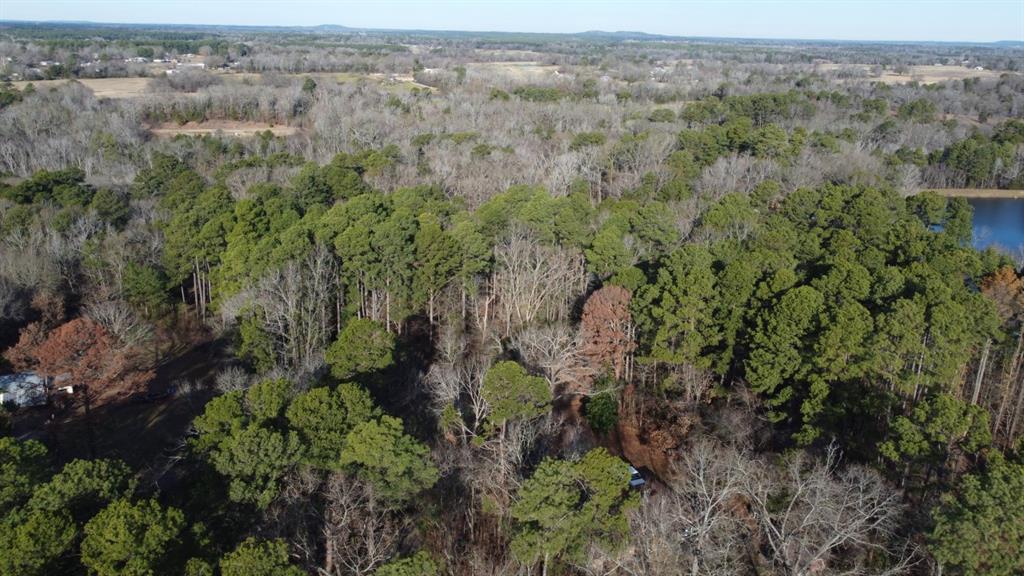 Quiet Oak  , Gilmer, Texas image 20