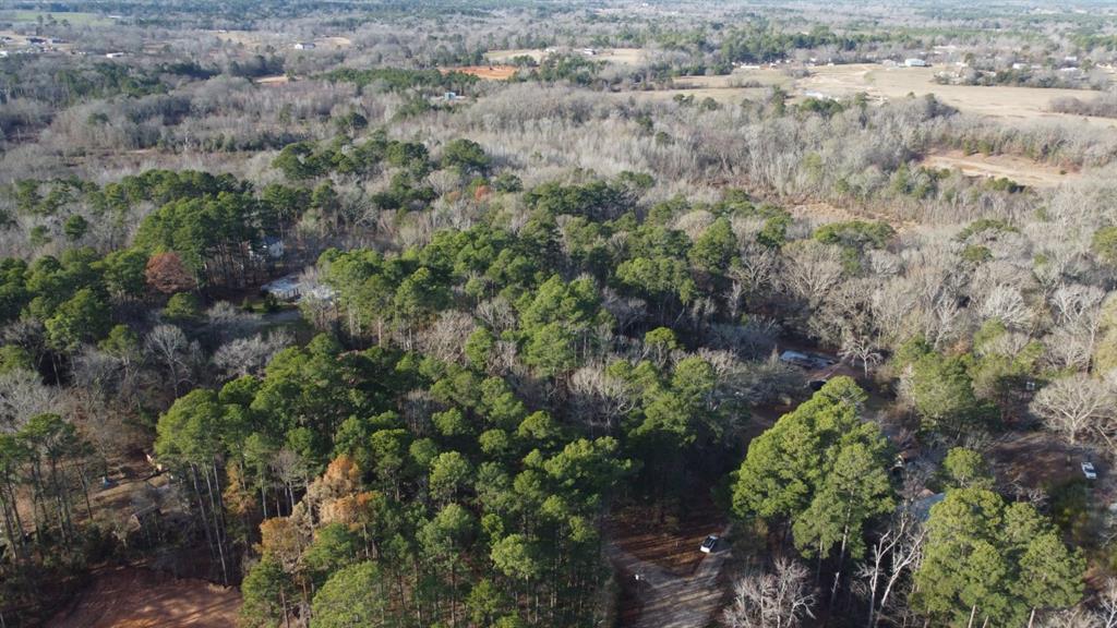 Quiet Oak  , Gilmer, Texas image 22