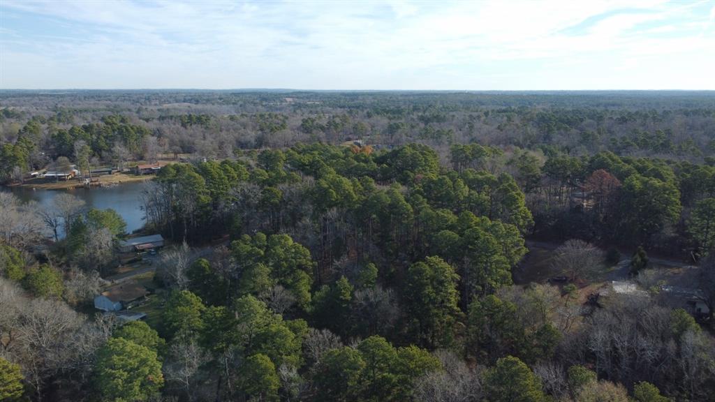 Quiet Oak  , Gilmer, Texas image 27