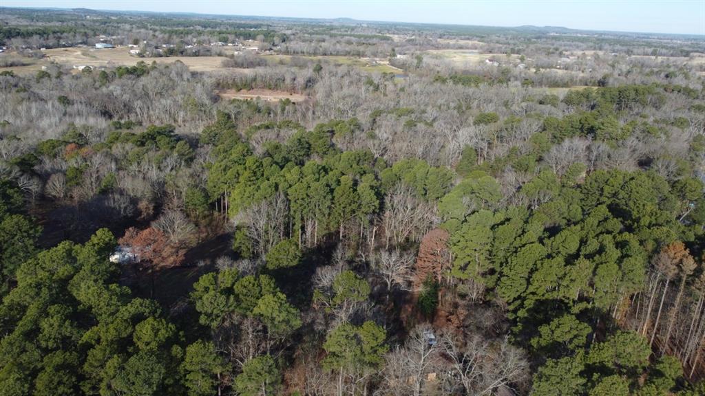 Quiet Oak  , Gilmer, Texas image 30