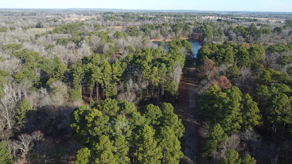 Quiet Oak  , Gilmer, Texas image 31