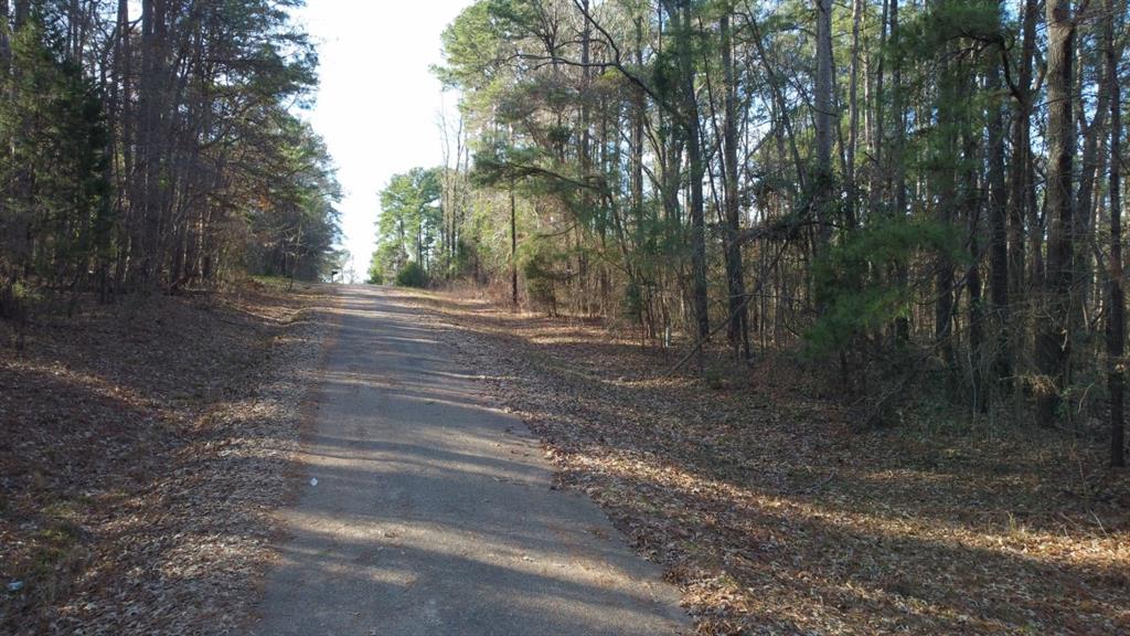 Quiet Oak  , Gilmer, Texas image 34