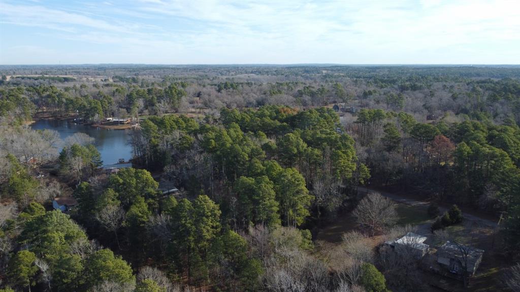 Quiet Oak  , Gilmer, Texas image 35