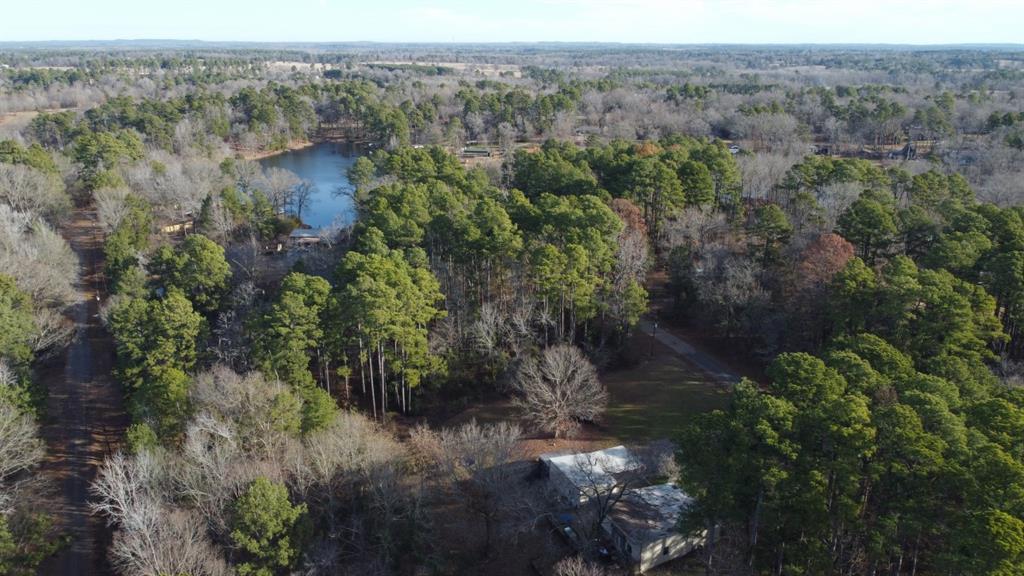 Quiet Oak  , Gilmer, Texas image 36