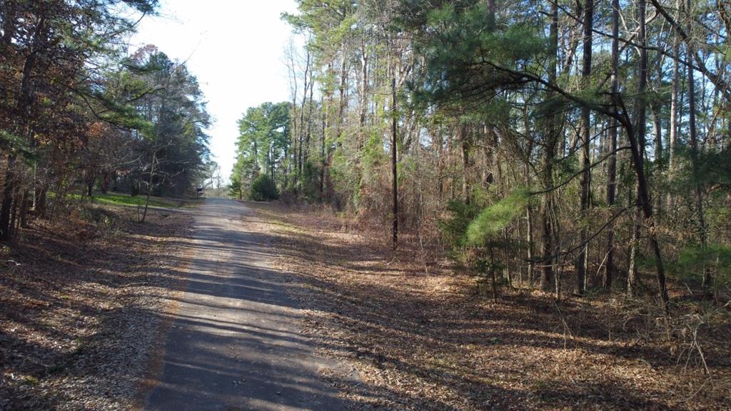 Quiet Oak  , Gilmer, Texas image 38