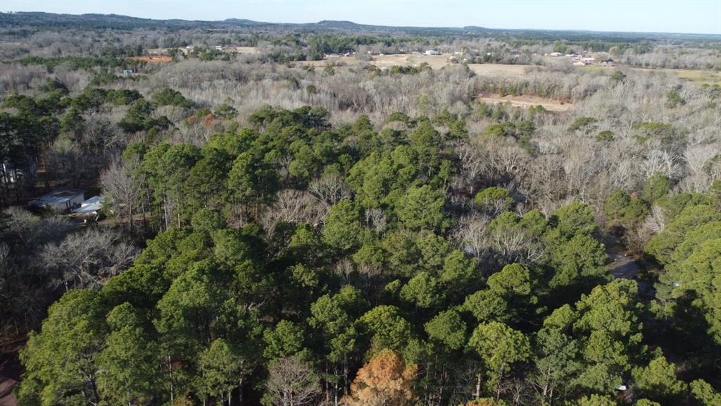 Quiet Oak  , Gilmer, Texas image 43