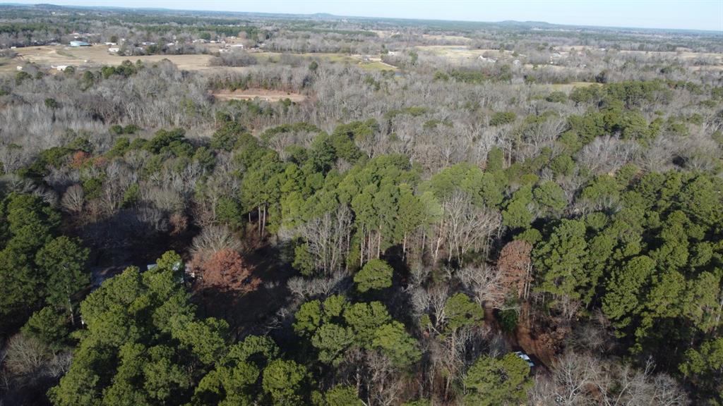 Quiet Oak  , Gilmer, Texas image 44