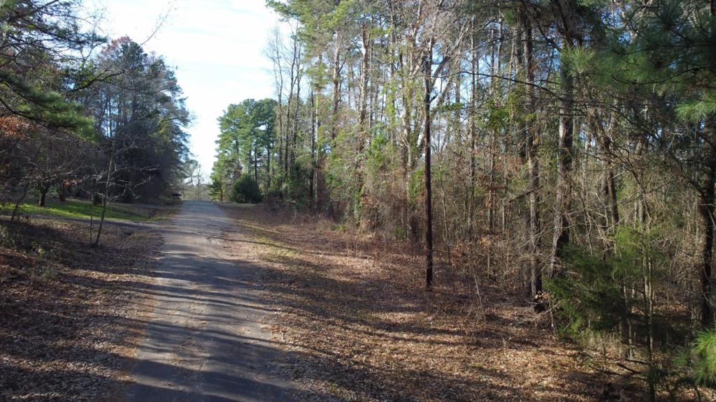 Quiet Oak  , Gilmer, Texas image 45