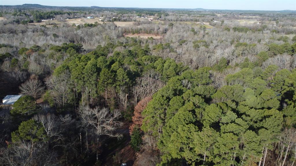 Quiet Oak  , Gilmer, Texas image 48