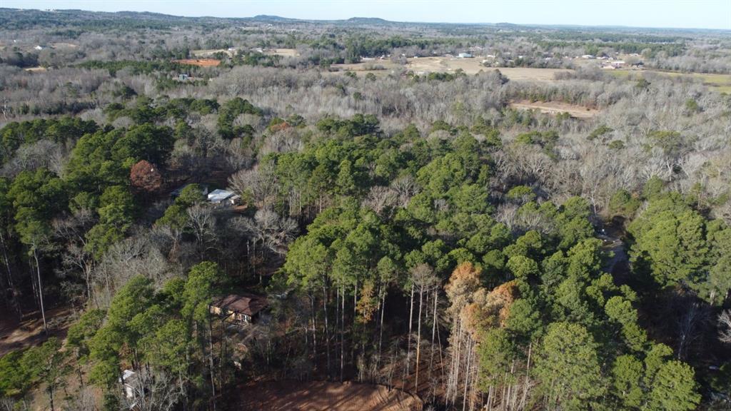 Quiet Oak  , Gilmer, Texas image 49