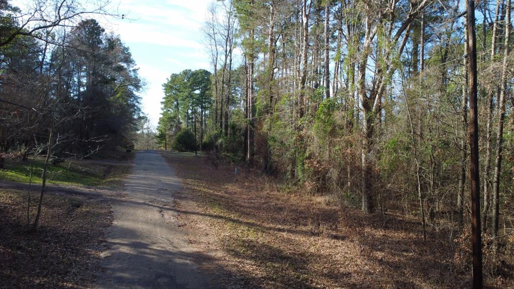 Quiet Oak  , Gilmer, Texas image 50