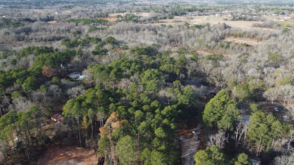 Quiet Oak  , Gilmer, Texas image 7