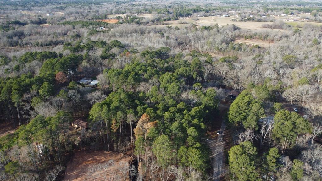 Quiet Oak  , Gilmer, Texas image 9