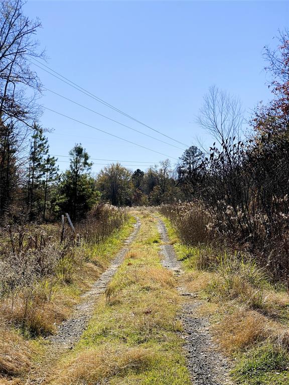 0TBD County Rd 3143  , Mount Enterprise, Texas image 6