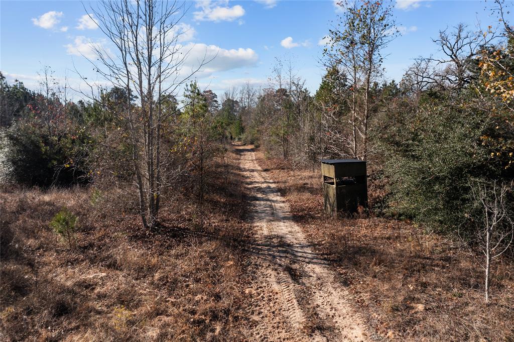 156.85 acres in the heart of east Texas! With a Co-op water meter and electricity in place this ranch gives you many possibilities for recreational, investment or a place to build your dream home. With a mix of large pine timber and hardwoods wildlife such as deer and hogs are abundant. This hunter’s paradise has roads and trails throughout. Paved road frontage off FM 3016 gives you easy access with close proximity to town. Located in Grapeland ISD and minutes from the city limits. Other towns like Lufkin, Palestine, Nacogdoches, Crockett and Alto are also nearby. Areas to explore include the Davy Crockett National Forest with thousands of acres of public land, Caddo Mounds State Historical Site and the Neches River, giving the family year around options for activities.