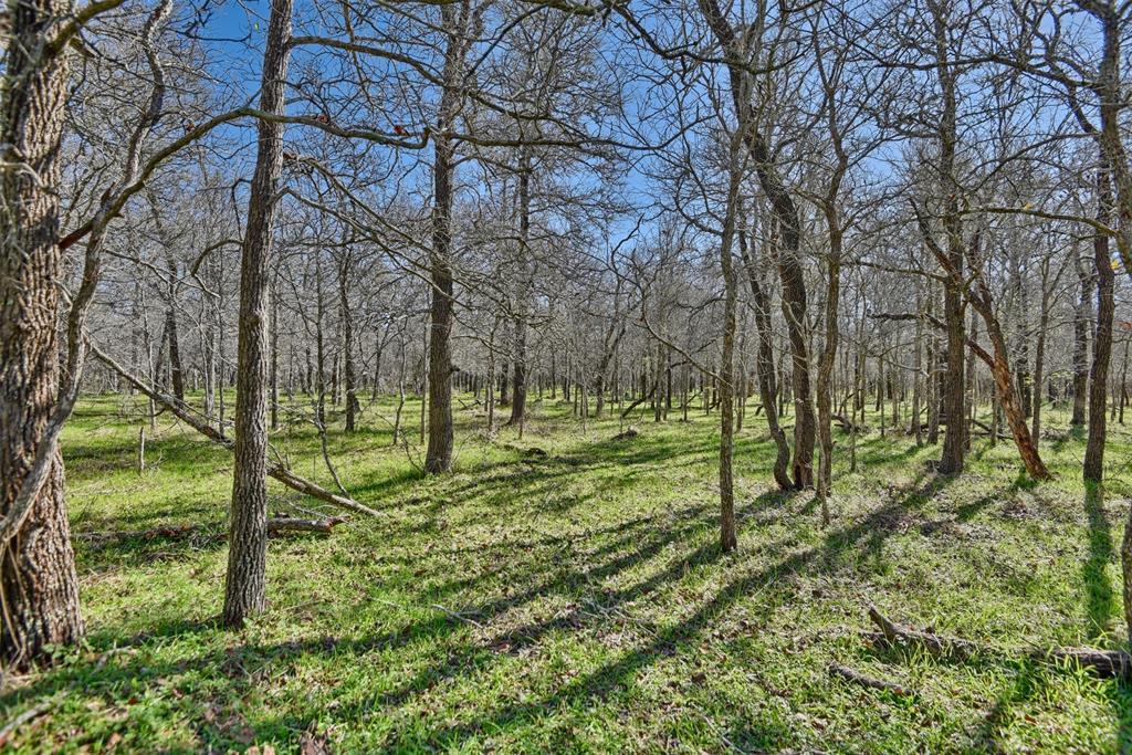 11 +/- beautiful wooded acres with ag-exemption in place, abundant wildlife and a seasonal creek. This land is a blank canvas ready for you to make it your own. A gate and gravel road will welcome you to many large and mature trees located next to a larger tract. Currently 3 sides of the property have 5 strand barb wire fencing and steel posts. The property is located 21 +/- miles from downtown Bastrop, 11 +/- miles from Smithville and around 55 minutes from ABIA. Electricity is available with BlueBonnet electric and the seller is not aware of any restrictions.