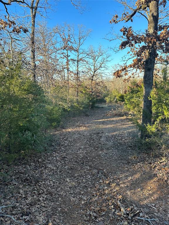 Trail on property line to right side