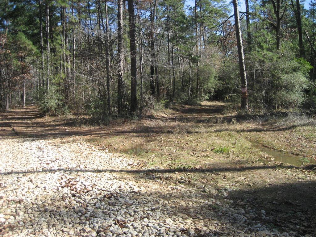 80 ACRES LOCATED IN THE NATIONAL FOREST, ACCESS IS ON A USF ROAD. SIKES CREEK RUNNING IN AND AROUND THE PROPERTY. EXCELLENT HUNTING POTENTIAL. NO UTILITIES AVAILABLE.