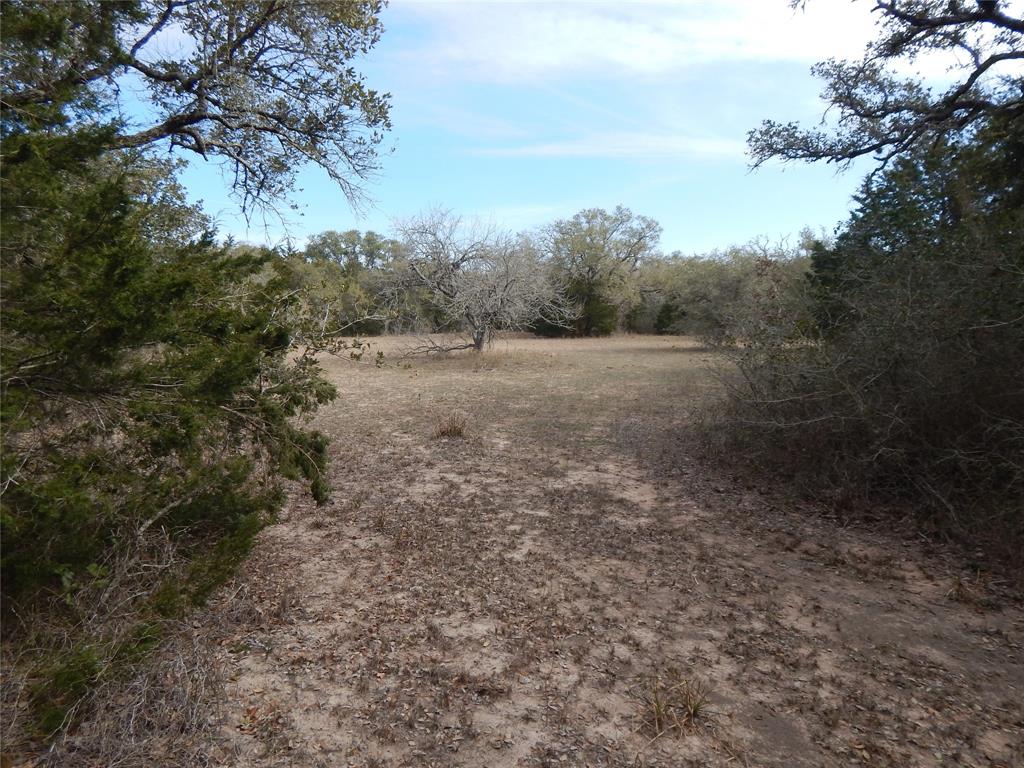 1053 County Road 438  , Yoakum, Texas image 12