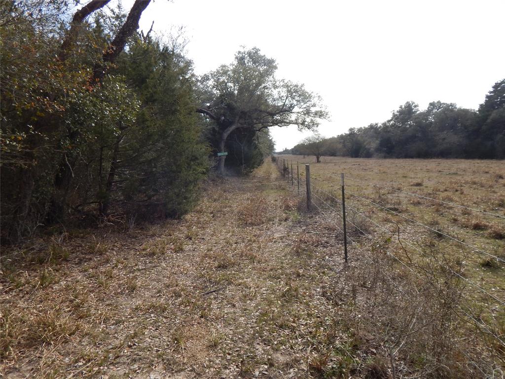 1053 County Road 438  , Yoakum, Texas image 14