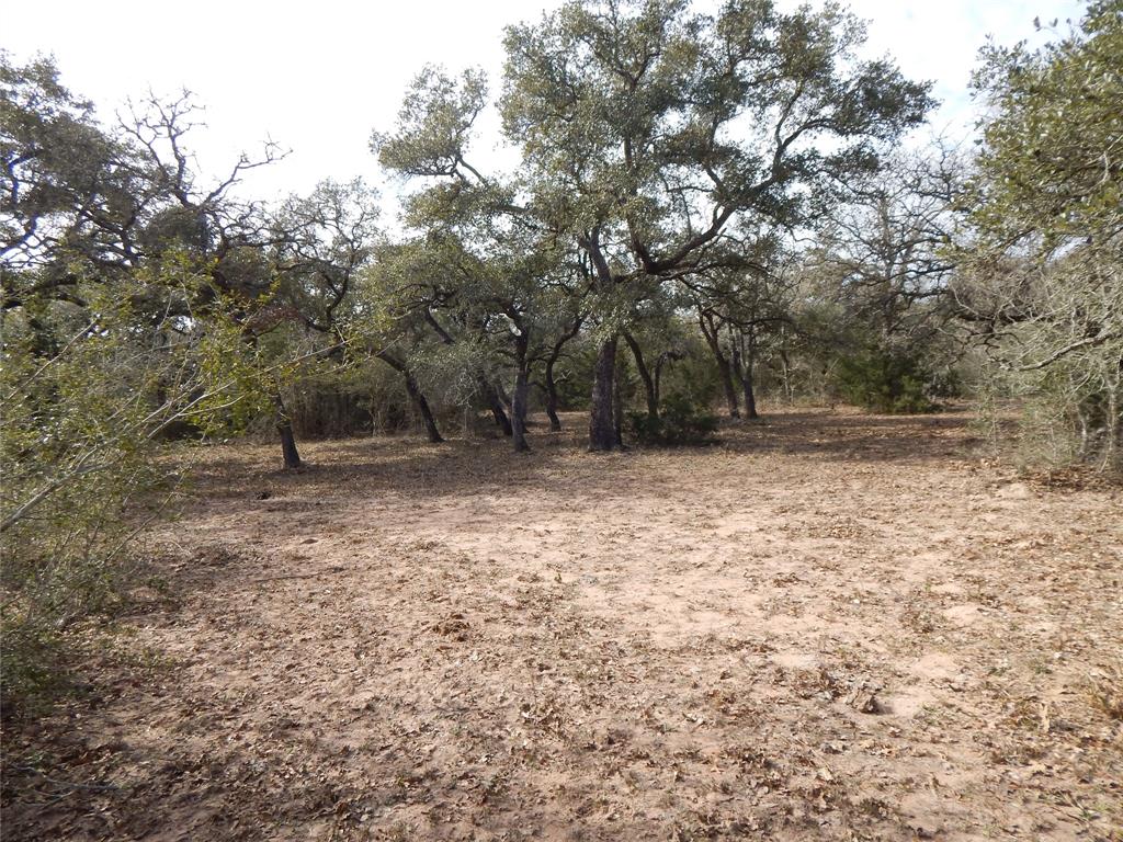 1053 County Road 438  , Yoakum, Texas image 15