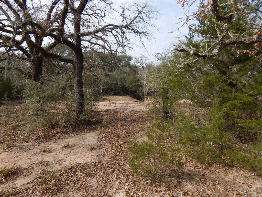 1053 County Road 438  , Yoakum, Texas image 17