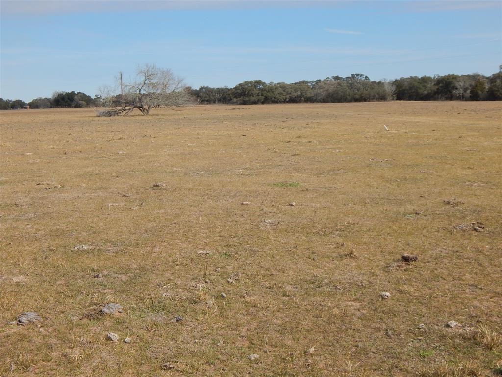 1053 County Road 438  , Yoakum, Texas image 19